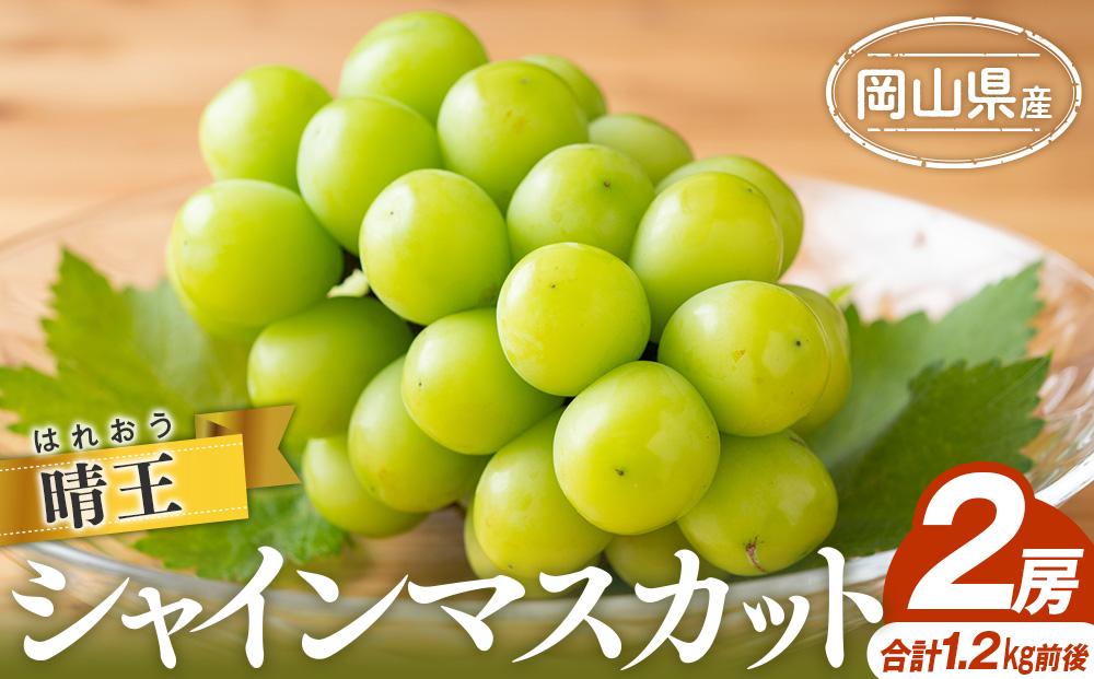 シャインマスカット&nbsp;2025年&nbsp;&nbsp;晴王&nbsp;2房&nbsp;合計1.2kg前後&nbsp;&nbsp;|&nbsp;フルーツ&nbsp;果物&nbsp;くだもの&nbsp;ぶどう&nbsp;ブドウ&nbsp;シャインマスカット&nbsp;晴王&nbsp;国産&nbsp;岡山県産&nbsp;食品&nbsp;人気&nbsp;おすすめ&nbsp;送料無料&nbsp;ギフト&nbsp;贈り物&nbsp;贈答品&nbsp;プレゼント&nbsp;果物&nbsp;くだもの&nbsp;フルーツ&nbsp;ぶどう&nbsp;ブドウ&nbsp;シャインマスカット&nbsp;晴王