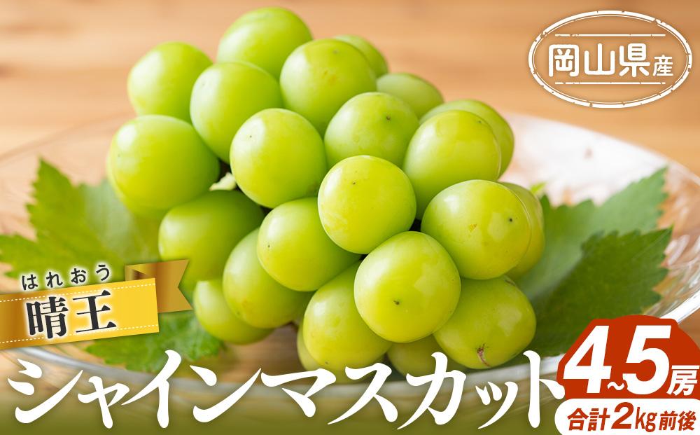 シャインマスカット&nbsp;2025年&nbsp;&nbsp;晴王&nbsp;4～5房&nbsp;合計2.0kg前後&nbsp;&nbsp;|&nbsp;フルーツ&nbsp;果物&nbsp;くだもの&nbsp;ぶどう&nbsp;ブドウ&nbsp;シャインマスカット&nbsp;晴王&nbsp;国産&nbsp;岡山県産&nbsp;食品&nbsp;人気&nbsp;おすすめ&nbsp;送料無料&nbsp;ギフト&nbsp;贈り物&nbsp;贈答品&nbsp;プレゼント&nbsp;果物&nbsp;くだもの&nbsp;フルーツ&nbsp;ぶどう&nbsp;ブドウ&nbsp;シャインマスカット&nbsp;晴王