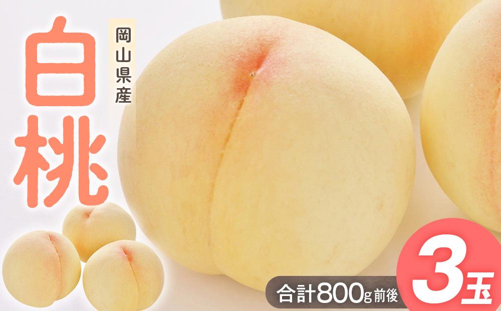 桃&nbsp;2025年&nbsp;&nbsp;白桃&nbsp;3玉入り&nbsp;合計800g前後&nbsp;岡山県産もも&nbsp;モモ&nbsp;岡山県産&nbsp;国産&nbsp;フルーツ&nbsp;果物&nbsp;ギフト