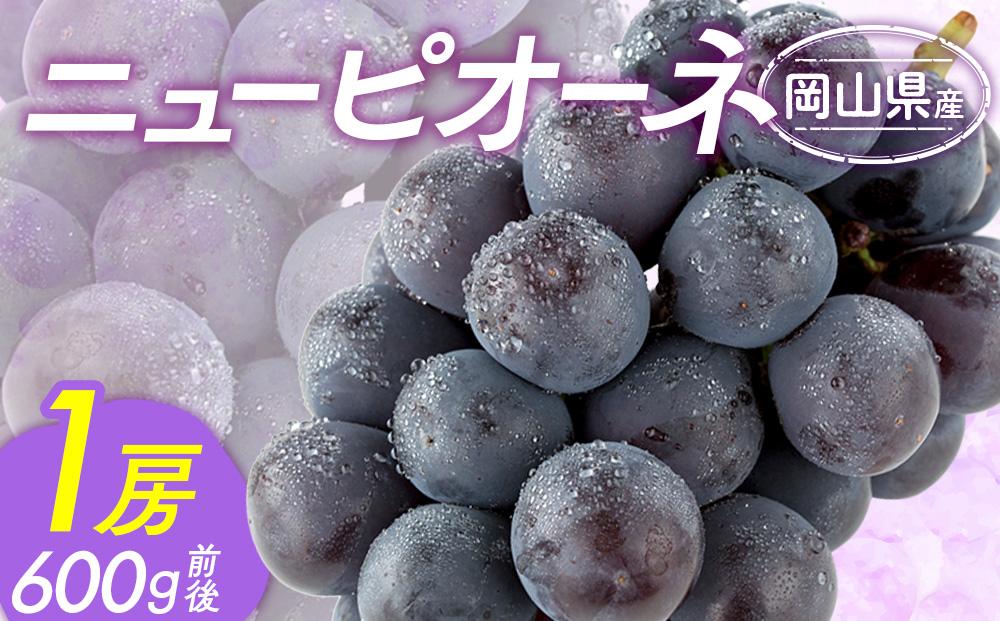 ぶどう&nbsp;2026年&nbsp;&nbsp;ニュー&nbsp;ピオーネ&nbsp;1房&nbsp;500g前後&nbsp;ブドウ&nbsp;葡萄&nbsp;&nbsp;岡山県産&nbsp;国産&nbsp;フルーツ&nbsp;果物&nbsp;ギフト