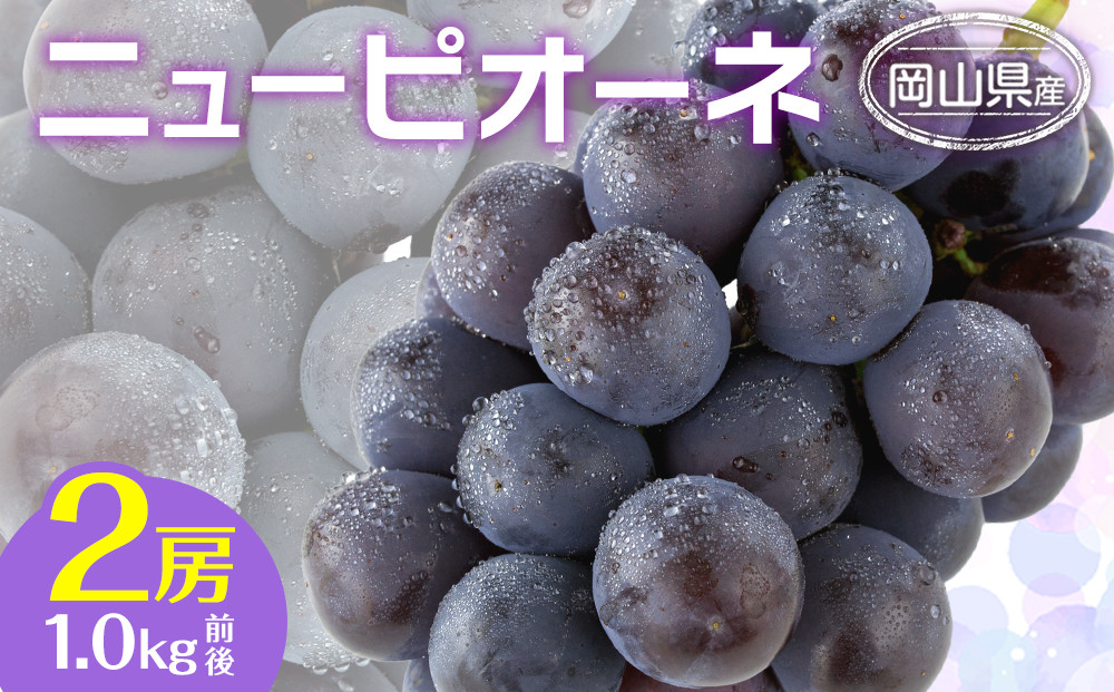 ぶどう&nbsp;2026年&nbsp;&nbsp;ニュー&nbsp;ピオーネ&nbsp;2房&nbsp;合計1.0kg前後&nbsp;ブドウ&nbsp;葡萄&nbsp;&nbsp;岡山県産&nbsp;国産&nbsp;フルーツ&nbsp;果物&nbsp;ギフト