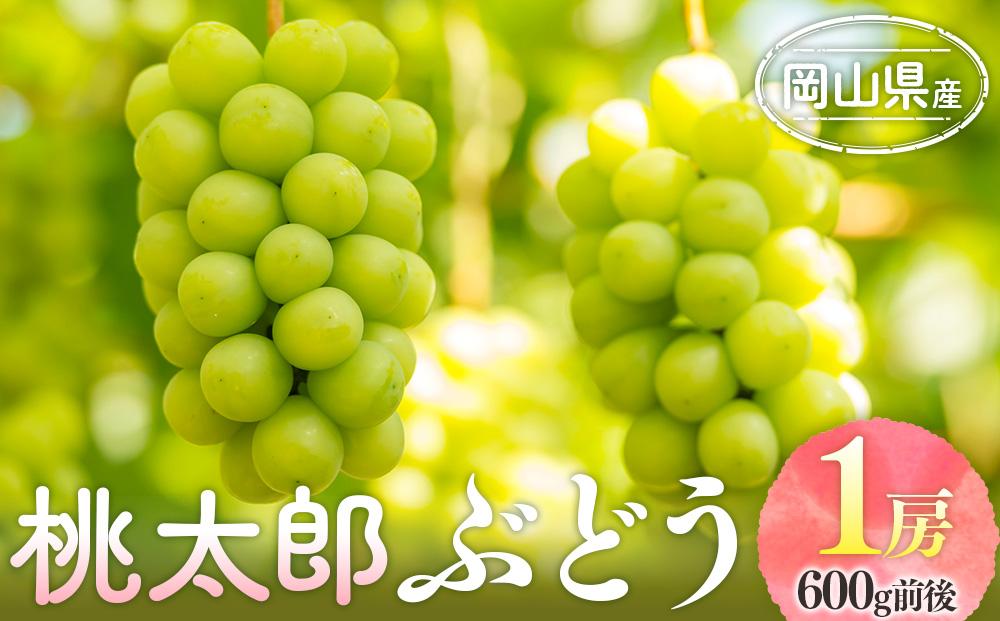 ぶどう&nbsp;2025年&nbsp;&nbsp;桃太郎&nbsp;ぶどう&nbsp;1房&nbsp;600g前後&nbsp;｜フルーツ&nbsp;果物&nbsp;果物類&nbsp;くだもの&nbsp;ぶどう&nbsp;ブドウ&nbsp;葡萄&nbsp;桃太郎&nbsp;岡山&nbsp;岡山県産&nbsp;国産&nbsp;食品&nbsp;人気&nbsp;おすすめ&nbsp;ギフト&nbsp;送料無料&nbsp;果物&nbsp;ぶどう&nbsp;ブドウ&nbsp;葡萄