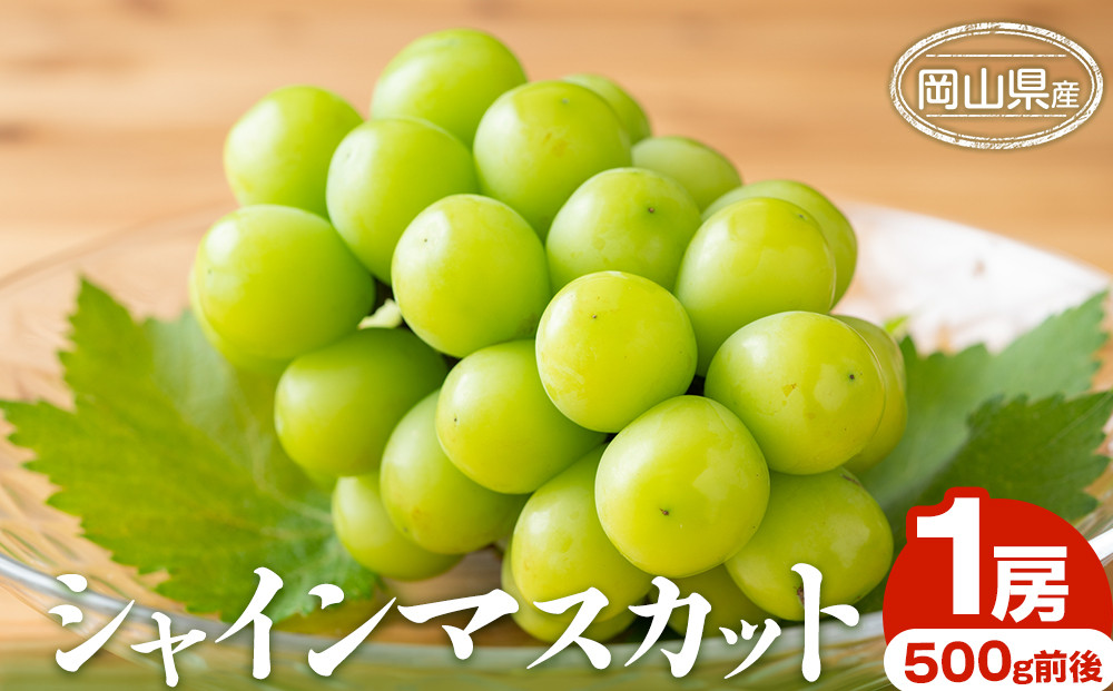 ぶどう&nbsp;2026年&nbsp;シャインマスカット&nbsp;1房&nbsp;500g前後&nbsp;岡山県産
