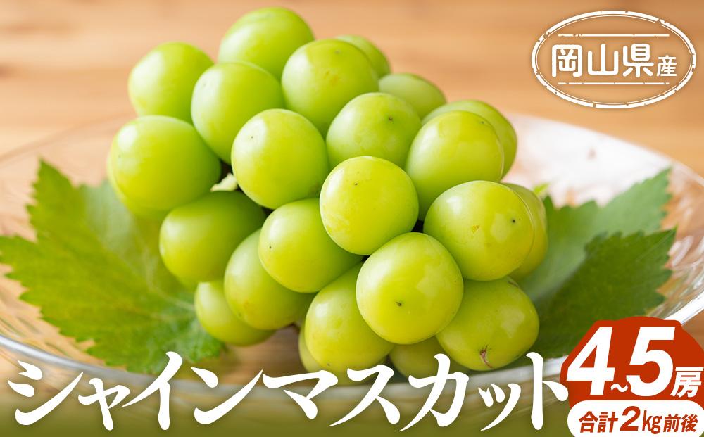 ぶどう&nbsp;2025年&nbsp;シャインマスカット&nbsp;4～5房&nbsp;合計2.0kg前後&nbsp;岡山県産&nbsp;|&nbsp;フルーツ&nbsp;果物&nbsp;くだもの&nbsp;シャインマスカット&nbsp;マスカット&nbsp;ブドウ&nbsp;ぶどう&nbsp;葡萄&nbsp;デザート&nbsp;岡山&nbsp;岡山県産　国産&nbsp;おすすめ&nbsp;人気&nbsp;プレゼント&nbsp;ギフト&nbsp;贈答用&nbsp;フルーツ&nbsp;果物&nbsp;シャインマスカット&nbsp;葡萄&nbsp;ぶどう&nbsp;ブドウ