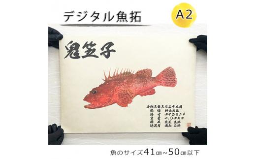 デジタル魚拓 A2サイズ オーダーメイド 和紙 フィッシング 釣り 魚拓[No.5220-1563]