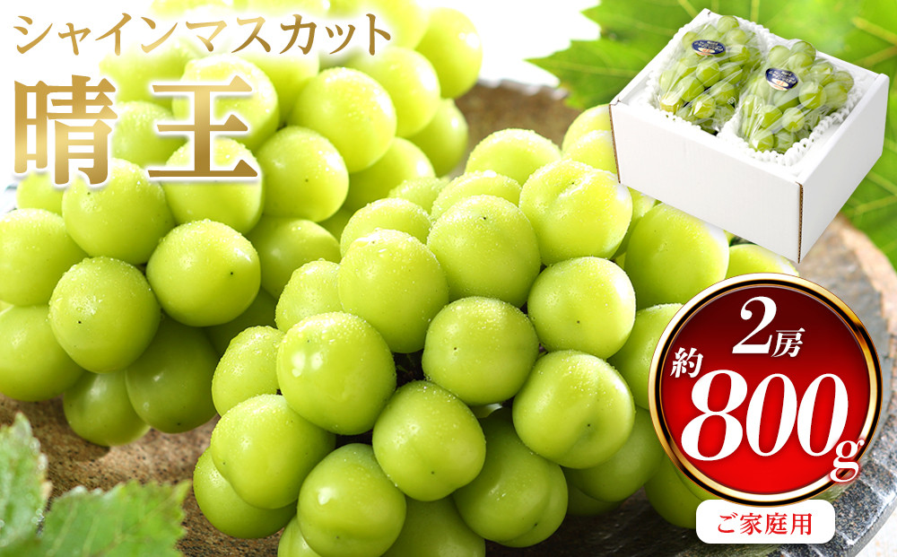 ぶどう&nbsp;2026年&nbsp;&nbsp;ご家庭用&nbsp;シャイン&nbsp;マスカット&nbsp;晴王&nbsp;約400g×2房&nbsp;ブドウ&nbsp;葡萄&nbsp;&nbsp;岡山県産&nbsp;国産&nbsp;フルーツ&nbsp;果物