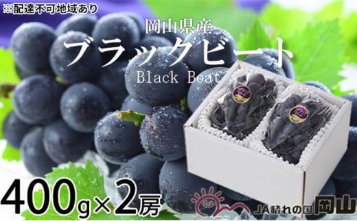 ぶどう 2024年 先行予約 ブラックビート 約400g×2房 ブドウ 葡萄  岡山県産 国産 フルーツ 果物 ギフト