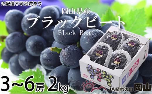 ぶどう 2024年 先行予約 ブラックビート 約2kg 3房～6房 ブドウ 葡萄  岡山県産 国産 フルーツ 果物 ギフト