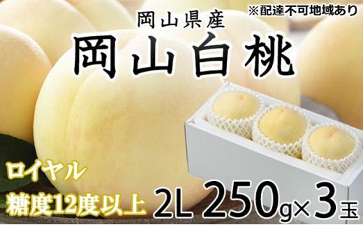 桃 2024年 先行予約 岡山 白桃 ロイヤル 3玉×約250g（2Lサイズ）JAおかやまのもも（早生種・中生種） もも モモ 岡山県産 国産 フルーツ 果物 ギフト[No.5220-0896]