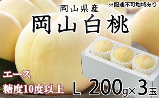 桃 2024年 先行予約 岡山 白桃 エース 3玉×約200g（Lサイズ）JAおかやまのもも（早生種・中生種） もも モモ 岡山県産 国産 フルーツ 果物 ギフト