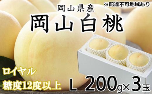 桃 2024年 先行予約 岡山 白桃 ロイヤル 3玉×約200g（Lサイズ）JAおかやまのもも（早生種・中生種） もも モモ 岡山県産 国産 フルーツ 果物 ギフト[No.5220-0899]