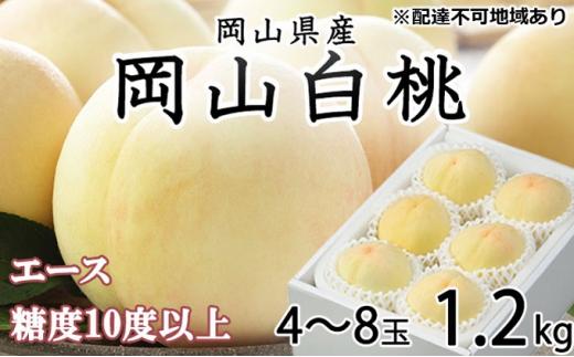 桃 2024年 先行予約 岡山 白桃 エース4～8玉 約1.2kg JAおかやまのもも（早生種・中生種） もも モモ 岡山県産 国産 フルーツ 果物 ギフト