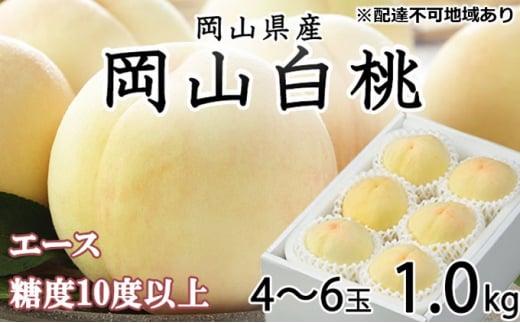 桃 2024年 先行予約 岡山 白桃 エース 4～6玉 約1kg JAおかやまのもも（早生種・中生種） もも モモ 岡山県産 国産 フルーツ 果物 ギフト