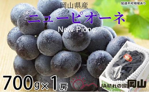 ぶどう 2024年 先行予約  ニュー ピオーネ 約700g×1房 ブドウ 葡萄  岡山県産 国産 フルーツ 果物 ギフト