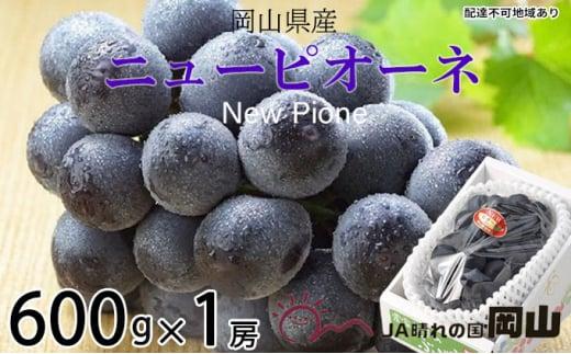 ぶどう 2024年 先行予約  ニュー ピオーネ 約600g×1房 ブドウ 葡萄  岡山県産 国産 フルーツ 果物 ギフト