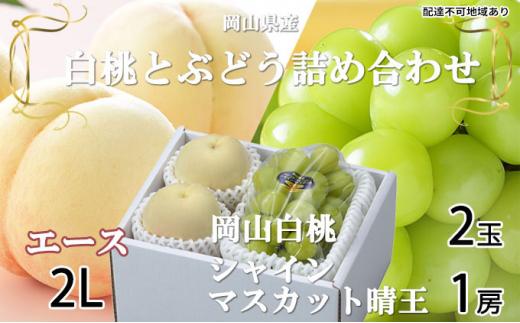 桃 ぶどう 2024年 先行予約 岡山 白桃 エース 2玉×約250g（2Lサイズ、早生種・中生種 ） シャイン マスカット 晴王 1房約500g 詰め合わせ 岡山県産 フルーツ