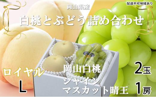 桃 ぶどう 2024年 先行予約 岡山 白桃 ロイヤル 2玉×約200g（Lサイズ、早生種・中生種） シャイン マスカット 晴王 1房約400g 詰め合わせ 岡山県産 フルーツ