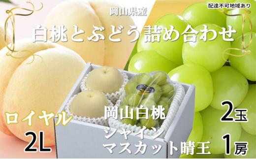 桃 ぶどう 2024年 先行予約 岡山 白桃 ロイヤル 2玉×約250g（2Lサイズ、早生種・中生種） シャイン マスカット 晴王 1房約500g 詰め合わせ 岡山県産 フルーツ