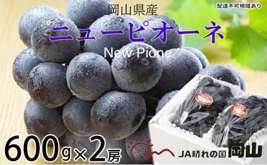 ぶどう 2024年 先行予約 ニュー ピオーネ 約600g×2房 ブドウ 葡萄  岡山県産 国産 フルーツ 果物 ギフト