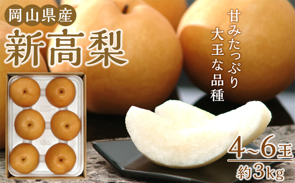 梨 2025年 岡山県産 新高梨 約3kg 4～6玉 お届け 10月中旬～11月中旬【梨 なし 果物 フルーツ 新鮮 岡山県 岡山市 おすすめ 人気】