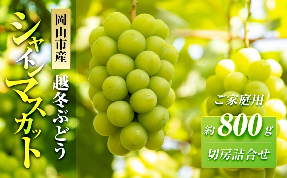 五果苑&nbsp;越冬ぶどう【ご家庭用】&nbsp;シャインマスカット&nbsp;切房詰め合わせ&nbsp;約800g&nbsp;|&nbsp;フルーツ&nbsp;果物&nbsp;くだもの&nbsp;シャインマスカット&nbsp;マスカット&nbsp;岡山県産&nbsp;国産&nbsp;ご家庭用&nbsp;シャインマスカット&nbsp;マスカット&nbsp;フルーツ&nbsp;果物&nbsp;くだもの&nbsp;シャインマスカット&nbsp;マスカット