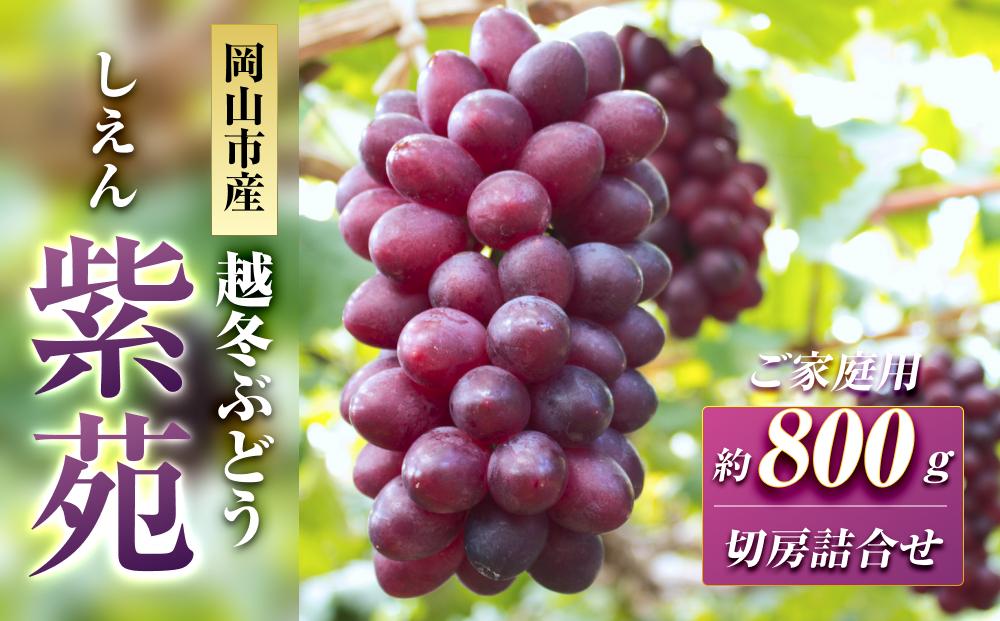 【受付停止中】五果苑&nbsp;越冬ぶどう【ご家庭用】紫苑（しえん）切房詰め合わせ&nbsp;約800g
