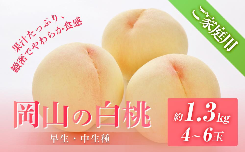 桃&nbsp;2026年6月下旬から発送&nbsp;ご家庭用&nbsp;岡山の&nbsp;白桃（早生、中生種）約1.3kg&nbsp;4～6玉&nbsp;もも&nbsp;モモ&nbsp;フルーツ&nbsp;果物&nbsp;岡山市&nbsp;一宮地区産&nbsp;国産&nbsp;赤木農園