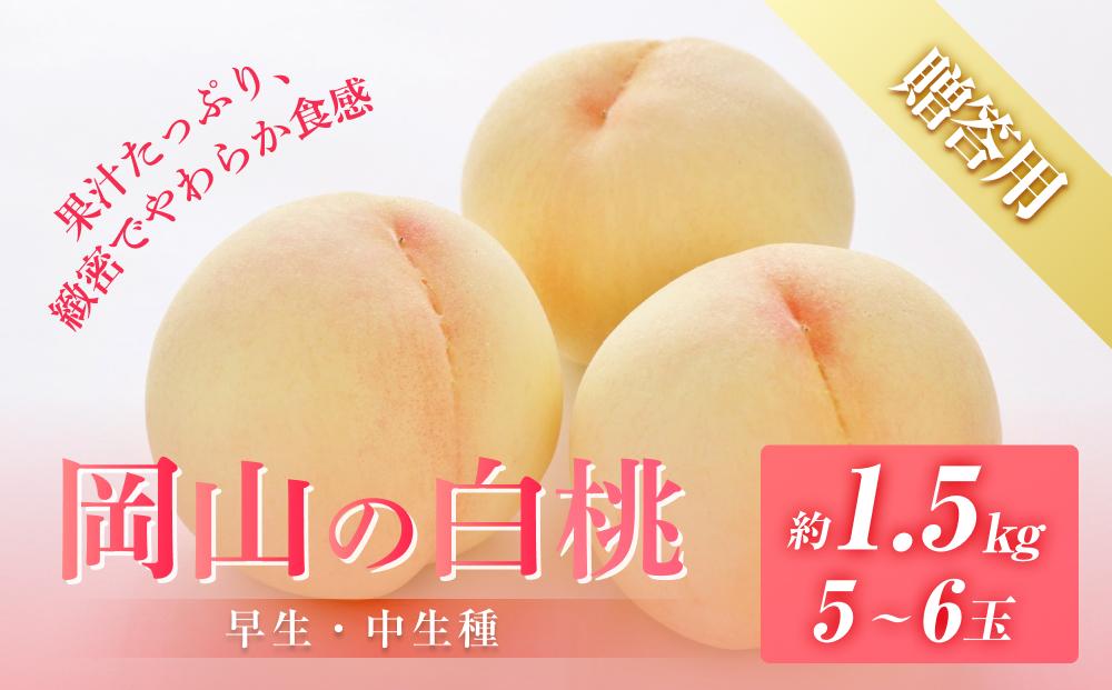 桃 2025年 先行予約 贈答用 岡山の 白桃（早生、中生種）約1.5kg 5～6玉 もも モモ フルーツ 果物 岡山市 一宮地区産 国産 赤木農園