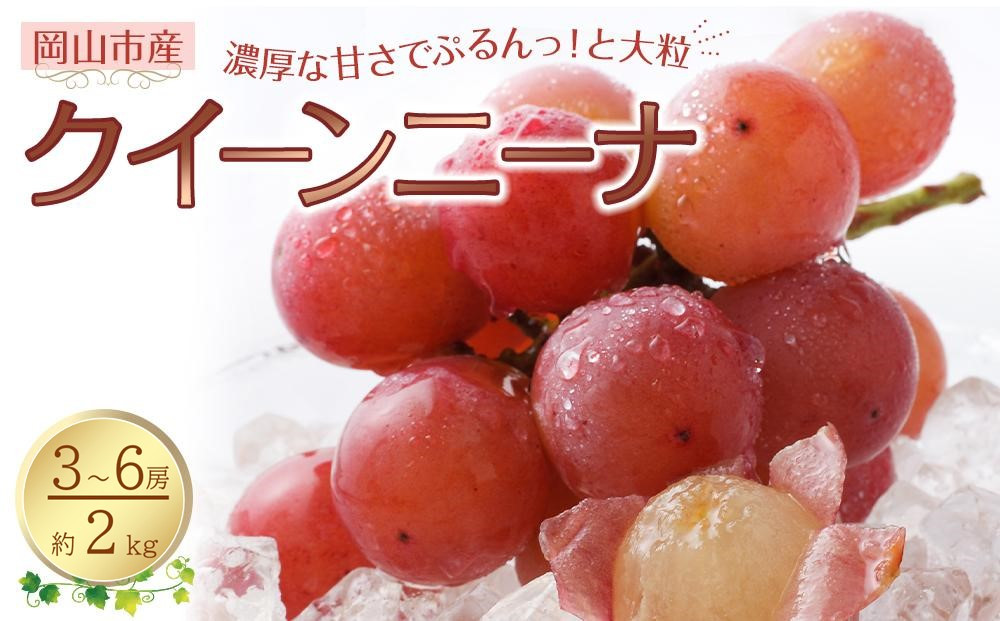 ぶどう&nbsp;2026年&nbsp;クイーンニーナ&nbsp;3～6房&nbsp;合計約2kg&nbsp;種無し&nbsp;ブドウ&nbsp;葡萄&nbsp;岡山市産&nbsp;国産&nbsp;フルーツ&nbsp;果物&nbsp;渡邊農園