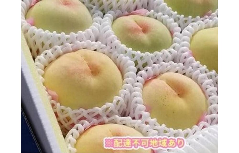 くぼ農園 白桃 セレクション 約3.0kg 