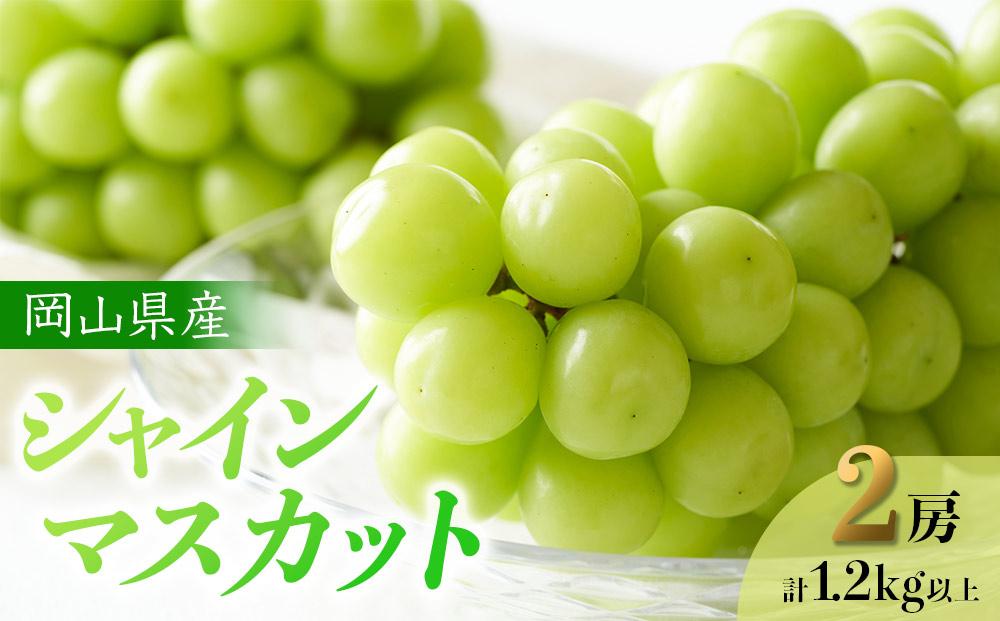 ぶどう 2025年 先行予約 岡山県産 シャインマスカット 2房 計1.2kg以上＜ジューシーで上品な甘みと高貴な香り＞