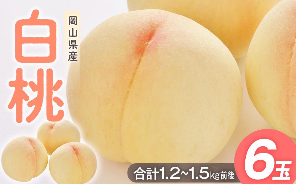 桃&nbsp;2025年&nbsp;&nbsp;白桃&nbsp;6玉入り&nbsp;合計1.2～1.5kg前後&nbsp;もも&nbsp;モモ&nbsp;岡山県産&nbsp;国産&nbsp;フルーツ&nbsp;果物&nbsp;ギフト