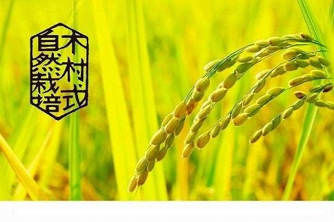 CM07【令和4年産】倉敷市産木村式自然栽培米「プレミアム朝日」 精米5kg 