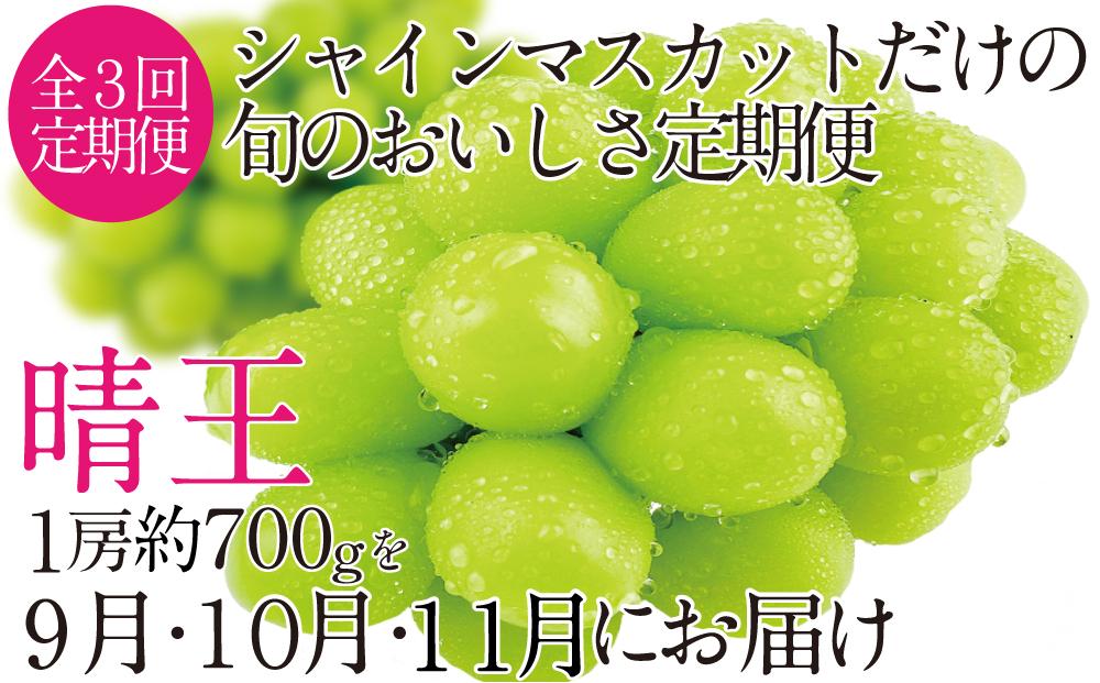 CN29　定期便　シャインマスカット晴王　1房（700g）［２０２３年先行予約］【岡山県産 種無し 皮ごと食べる みずみずしい 甘い フレッシュ 瀬戸内 晴れの国 おかやま 果物大国 岡山県 倉敷市 おすすめ 人気】