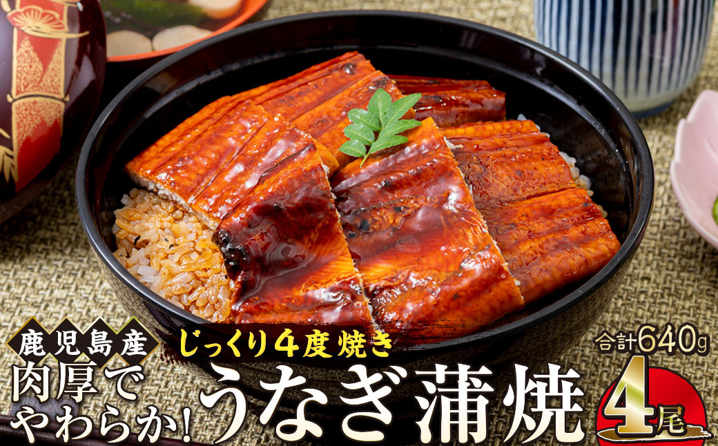 うなぎ&nbsp;蒲焼&nbsp;160g×4尾【鹿児島産】地下水で育てた絶品鰻