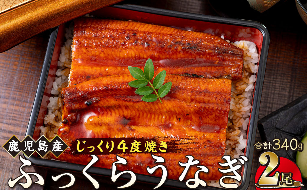 うなぎ&nbsp;蒲焼&nbsp;170g×2尾【鹿児島産】地下水で育てた絶品鰻