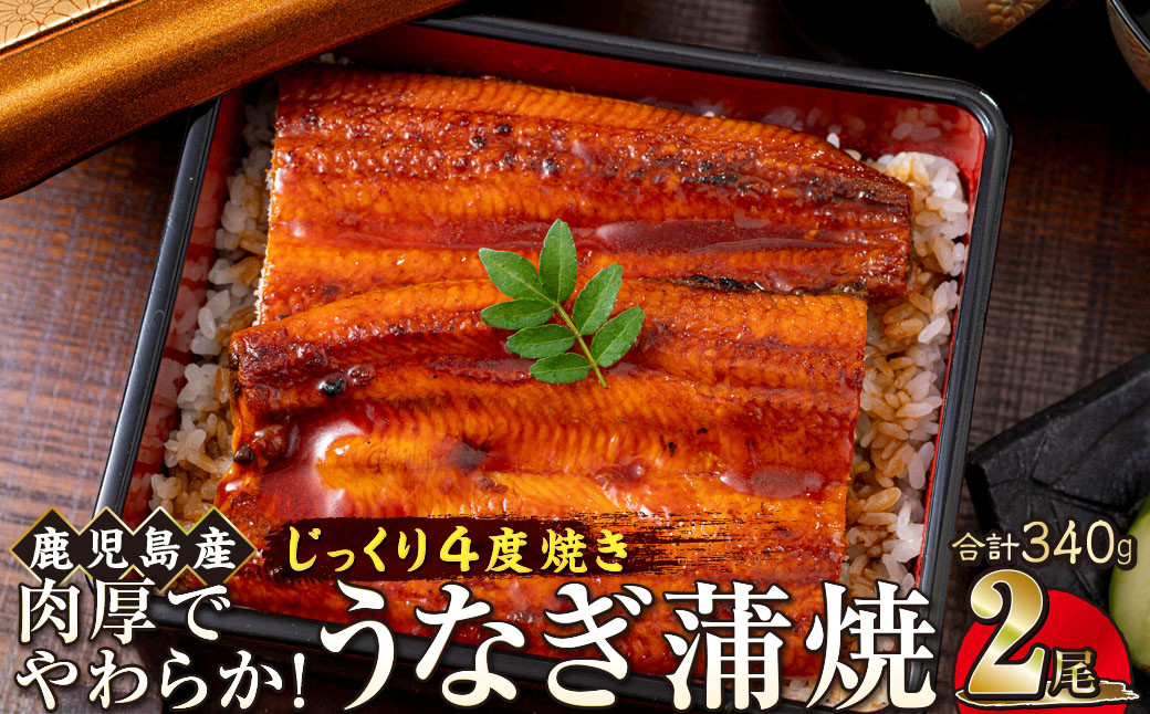 うなぎ&nbsp;蒲焼&nbsp;170g×2尾【鹿児島産】地下水で育てた絶品鰻