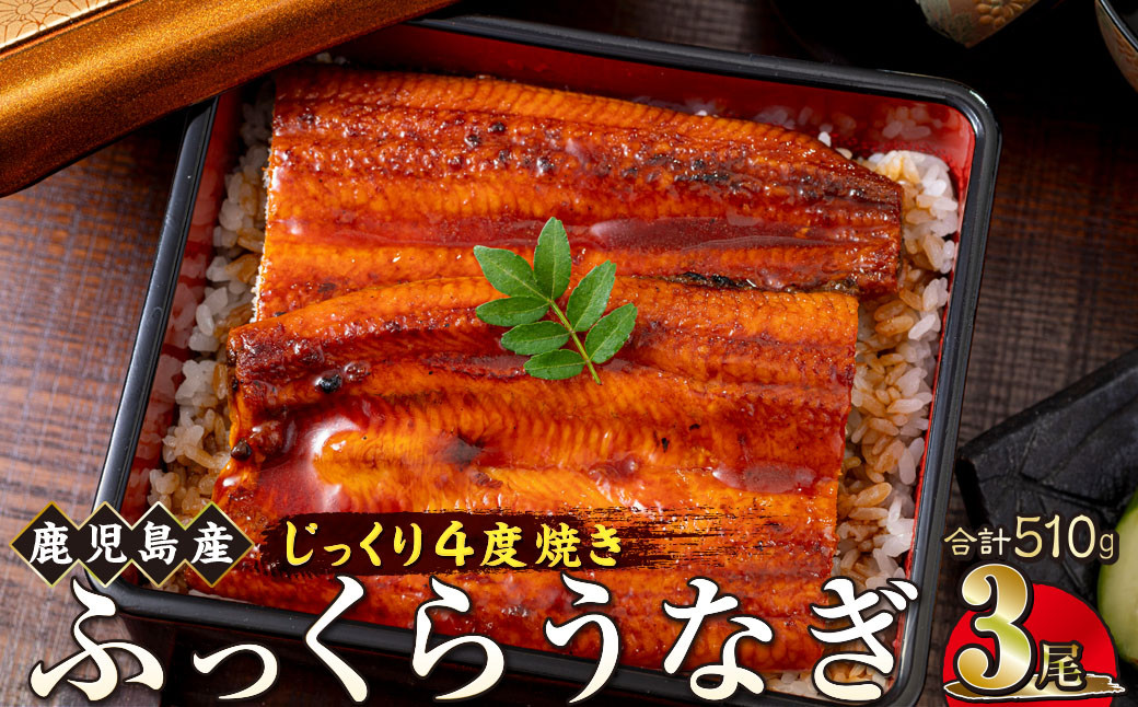 うなぎ&nbsp;蒲焼&nbsp;170g×3尾【鹿児島産】地下水で育てた絶品鰻