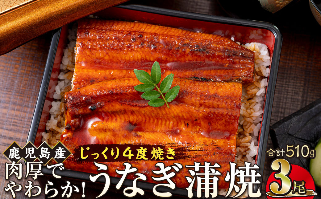 うなぎ&nbsp;蒲焼&nbsp;170g×3尾【鹿児島産】地下水で育てた絶品鰻