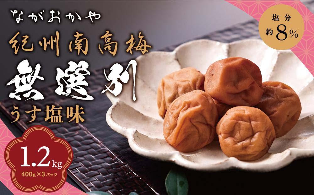 紀州南高梅 無選別 うす塩味（塩分約8％） 1.2kg（400g×3パック)  和歌山県産 塩分8％ つぶれ梅 うめぼし 梅干し 梅 送料無料 ふるさと納税 はちみつ ハチミツ 減塩  梅干 訳アリ 1.2キロ わけあり セット お取り寄せ ご当地グルメ 和歌山県 みなべ町 非常食 保存食 小分け A-402