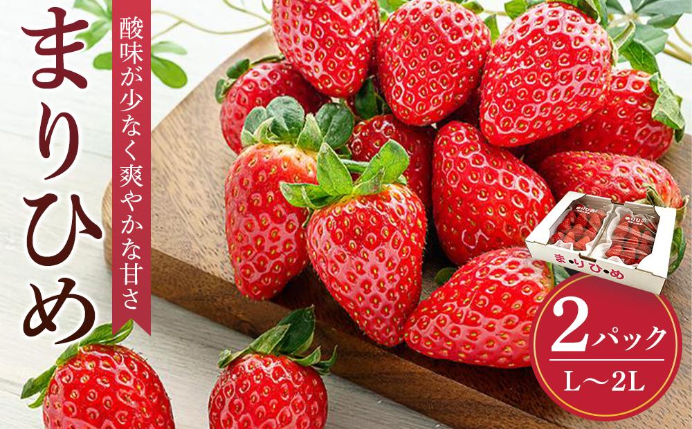まりひめイチゴ&nbsp;L～２L&nbsp;12粒～15粒×2パック［2026年1月中旬から発送］［先行販売］［KG7］