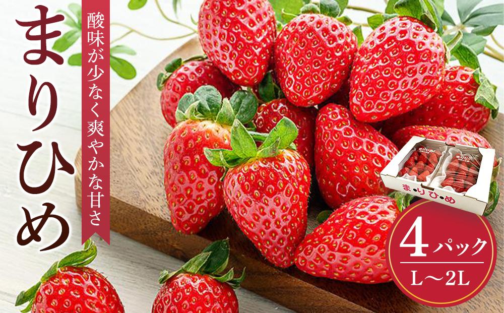 まりひめイチゴ&nbsp;L～２L&nbsp;12粒～15粒×4パック［2026年1月中旬から発送］［先行販売］［KG8］