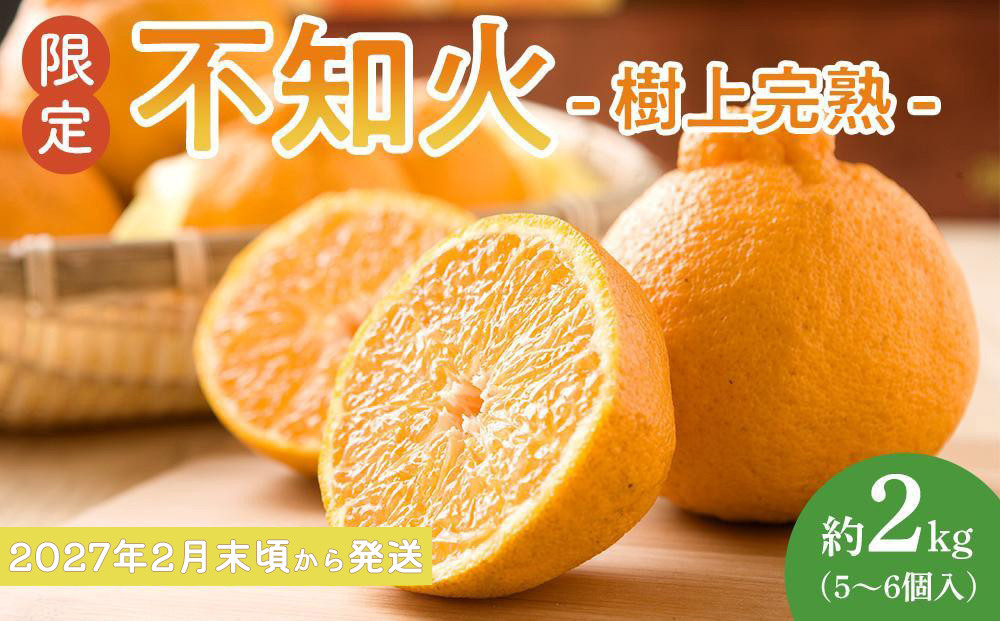 ［限定］不知火&nbsp;樹上完熟&nbsp;約2kg&nbsp;（5～6個入）［2027年2月末頃から3月末頃発送］［KG6］