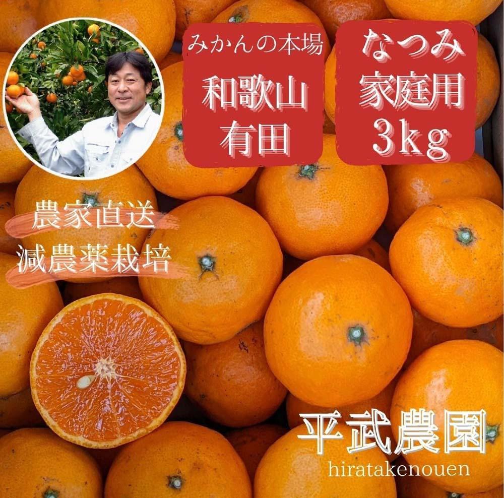 農家直送！なつみオレンジ 家庭用3kg【平武農園】～蛍飛ぶ町から旬の便り～