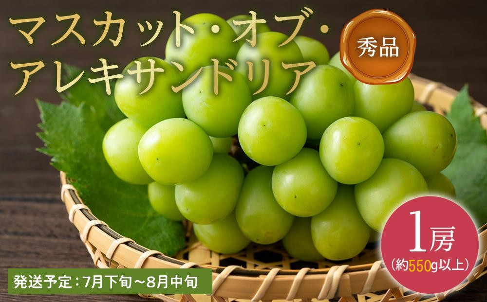 ぶどう&nbsp;2026年&nbsp;秀品&nbsp;マスカット&nbsp;・オブ・アレキサンドリア&nbsp;&nbsp;1房550g以上&nbsp;マスカット&nbsp;ブドウ&nbsp;葡萄&nbsp;&nbsp;岡山県産&nbsp;国産&nbsp;フルーツ&nbsp;果物&nbsp;ギフト