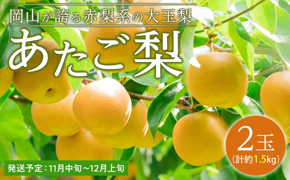 梨 2024年 先行予約 あたご梨 2玉（1玉約750g）合計約1.5kg なし ナシ 岡山県産 国産 フルーツ 果物 ギフト 