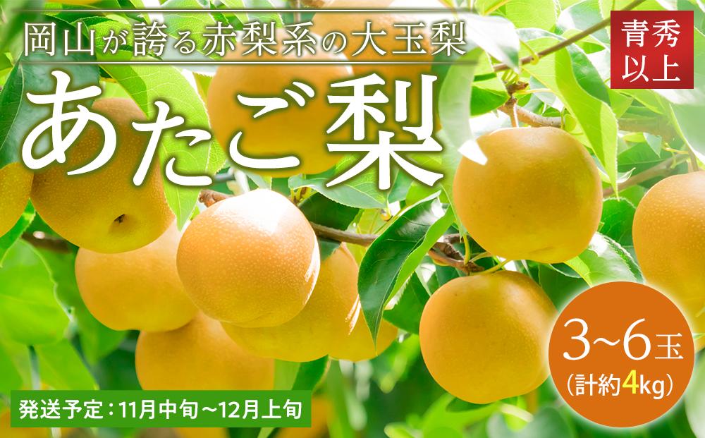 梨 2024年 先行予約 あたご梨 青秀クラス以上 3～6玉 約4kg  なし ナシ 岡山県産 国産 フルーツ 果物 ギフト 