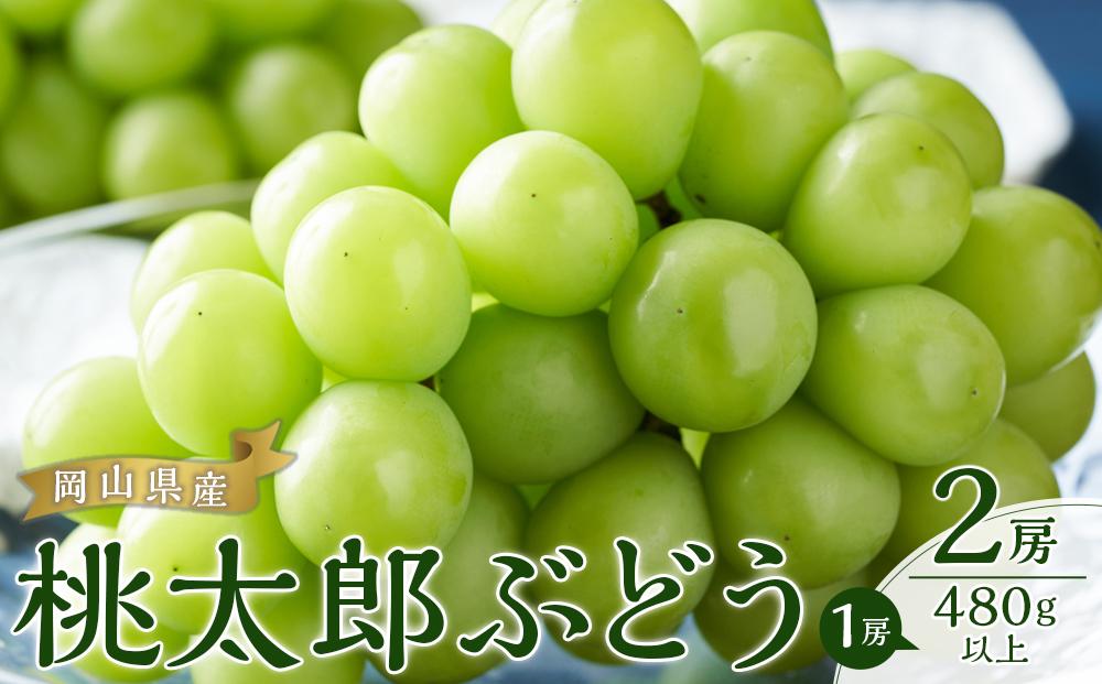 ぶどう 2025年 先行予約 桃太郎 ぶどう 2房（1房480g以上） ブドウ 葡萄  岡山県産 国産 フルーツ 果物 ギフト