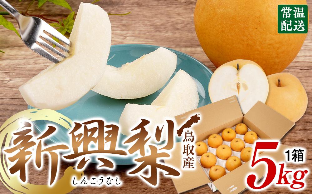 【先行予約】梨 新興梨 鳥取産 5kg× 1箱