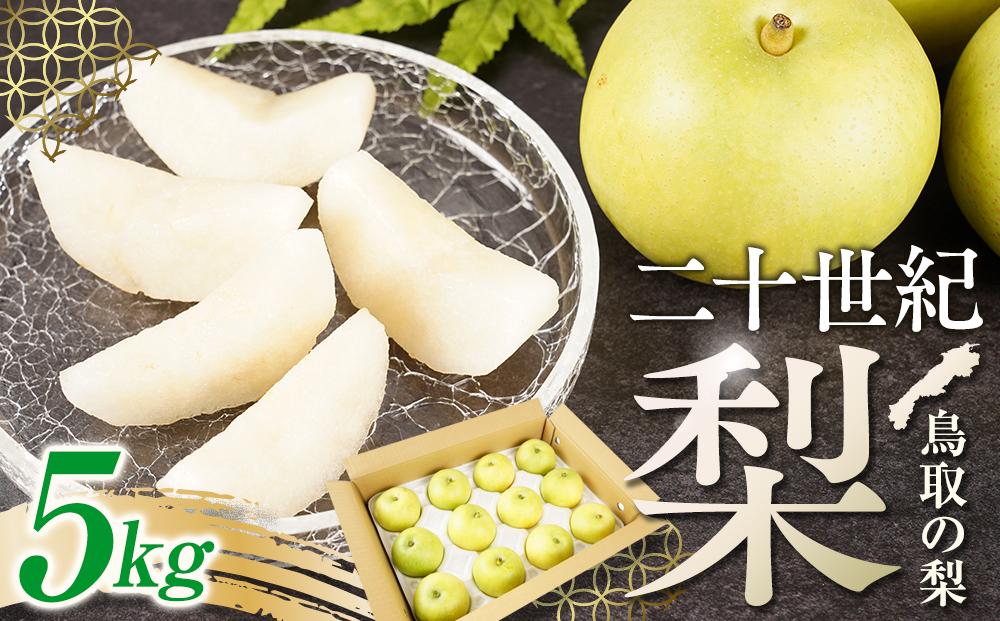 【先行予約】梨 二十世紀梨 鳥取産 5kg× 1箱